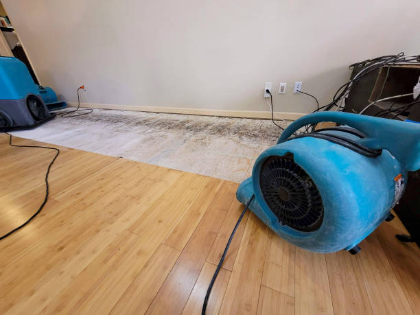 Professional Flood Damage Cleanup technician working in Washington, TX